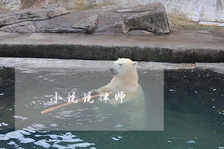 小悦悦律师 小悦悦律师