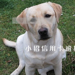 小招信用卡逾期1天 小招信用卡逾期1天