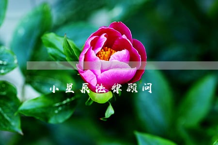 小星辰法律顾问 小星辰法律顾问