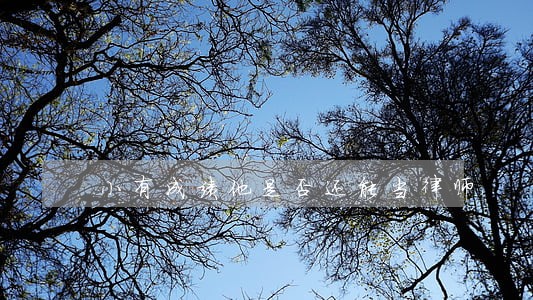 小有成绩他是否还能当律师 小有成绩他是否还能当律师