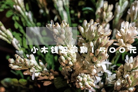 小木钱包逾期1500元会上门吗 小木钱包逾期1500元会上门吗