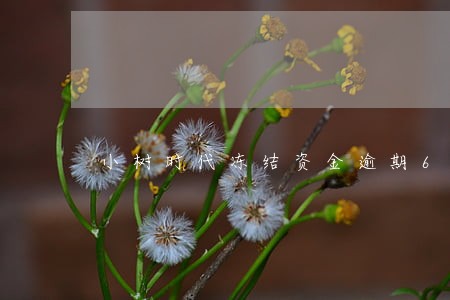 小树时代冻结资金逾期6 小树时代冻结资金逾期6
