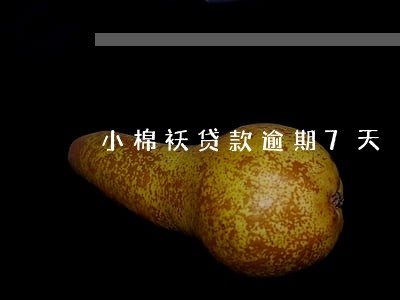小棉袄贷款逾期7天 小棉袄贷款逾期7天