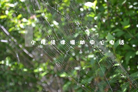 小榄法律援助中心电话