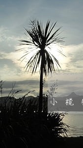 小榄镇文书免费法律咨询热线 小榄镇文书免费法律咨询热线