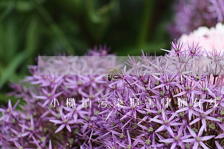 小榄镇污染损害律师在线免费咨询 小榄镇污染损害律师在线免费咨询