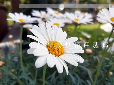 小汽车拉烟花违法吗 小汽车拉烟花违法吗