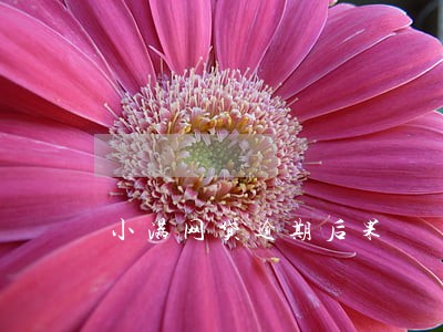 小满网贷逾期后果 小满网贷逾期后果