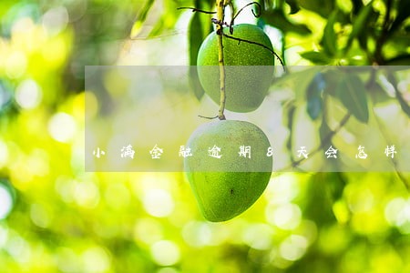 小满金融逾期8天会怎样 小满金融逾期8天会怎样