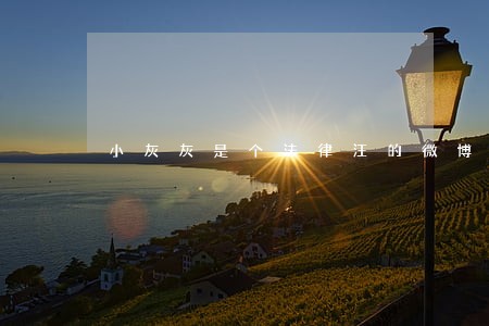 小灰灰是个法律汪的微博 小灰灰是个法律汪的微博