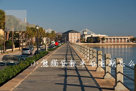 小熊猫贷款平台逾期怎么处理 小熊猫贷款平台逾期怎么处理
