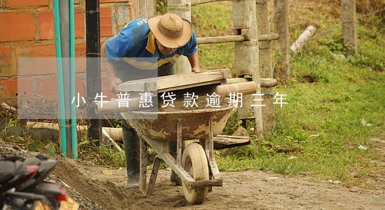 小牛普惠贷款逾期三年 小牛普惠贷款逾期三年