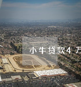 小牛贷款4万逾期一年 小牛贷款4万逾期一年
