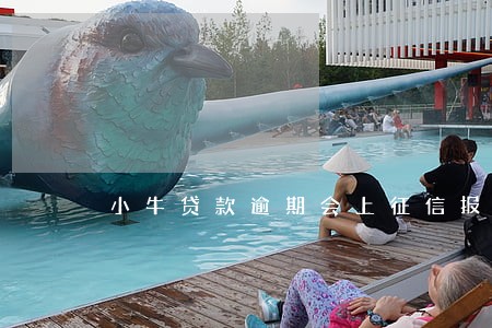 小牛贷款逾期会上征信报告吗 小牛贷款逾期会上征信报告吗
