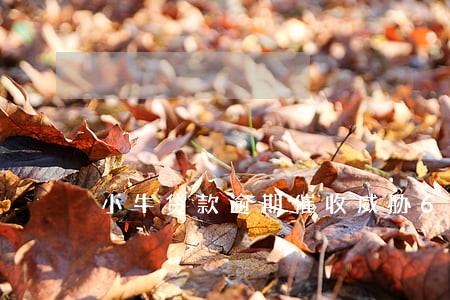 小牛贷款逾期催收威胁6