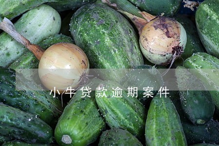 小牛贷款逾期案件 小牛贷款逾期案件