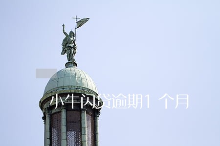 小牛闪贷逾期1个月 小牛闪贷逾期1个月