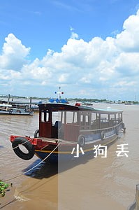 小狗丢了法院起诉 小狗丢了法院起诉