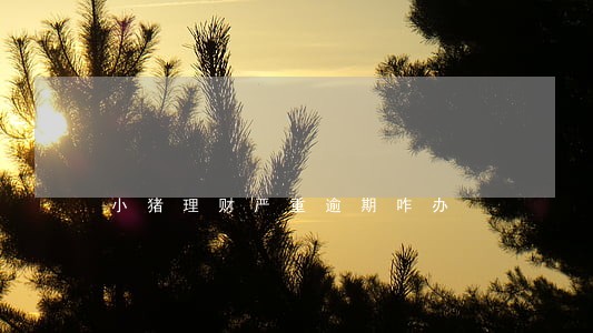 小猪理财严重逾期咋办 小猪理财严重逾期咋办