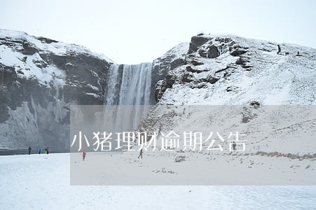 小猪理财逾期公告 小猪理财逾期公告