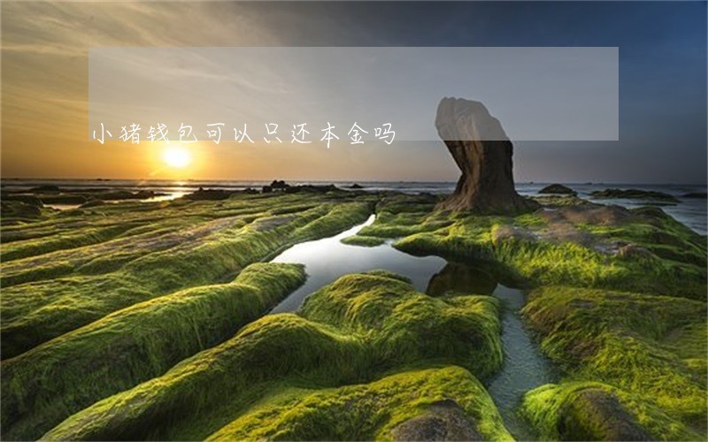 小猪钱包可以只还本金吗 小猪钱包可以只还本金吗