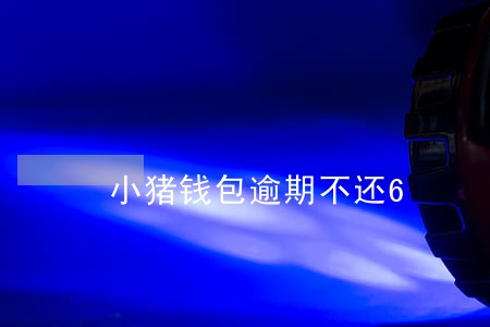小猪钱包逾期不还6