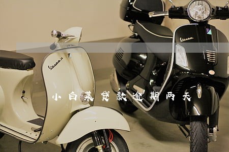 小白菜贷款逾期两天