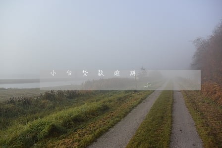 小白贷款逾期 小白贷款逾期