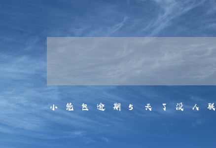 小笼包逾期5天了没人联系 小笼包逾期5天了没人联系