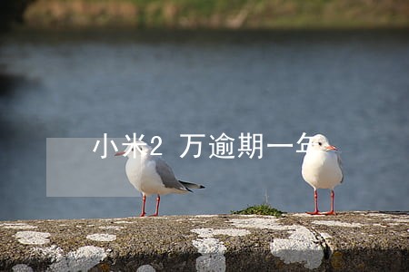 小米2万逾期一年 小米2万逾期一年