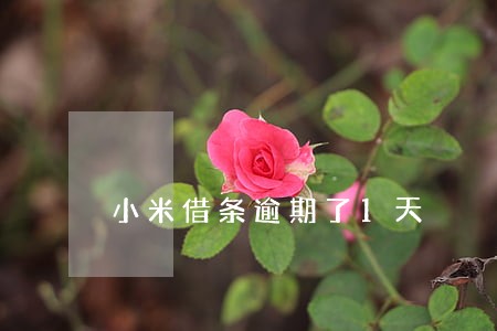 小米借条逾期了1天 小米借条逾期了1天