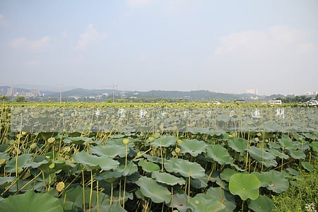 小米借款4500逾期 小米借款4500逾期
