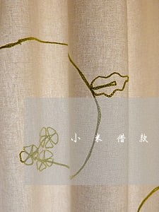 小米借款逾期1个月 小米借款逾期1个月