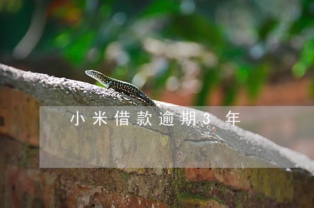 小米借款逾期3年 小米借款逾期3年