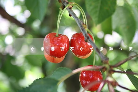 小米借贷不小心逾期3天 小米借贷不小心逾期3天