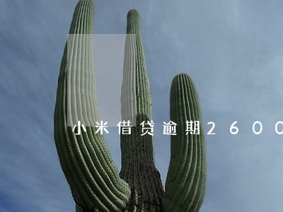 小米借贷逾期26000 小米借贷逾期26000