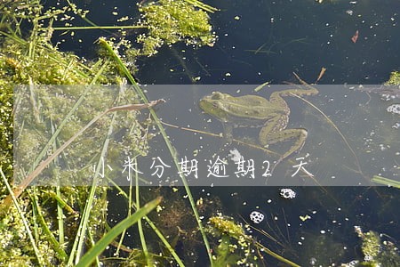 小米分期逾期2天 小米分期逾期2天
