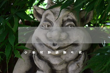 小米分期逾期5天 小米分期逾期5天