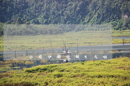 小米分期逾期5天啦 小米分期逾期5天啦