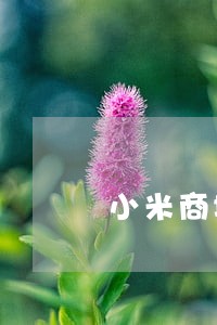 小米商城逾期有10天的吗 小米商城逾期有10天的吗
