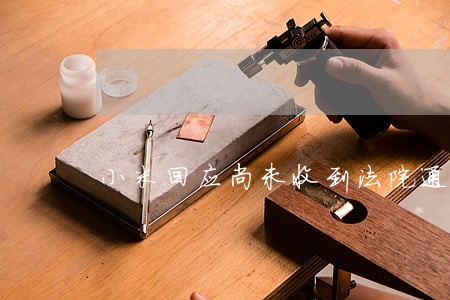 小米回应尚未收到法院通知 小米回应尚未收到法院通知