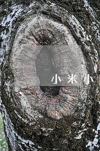 小米小额贷款逾期还款 小米小额贷款逾期还款