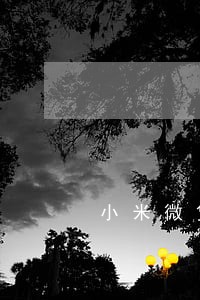 小米微贷网逾期 小米微贷网逾期