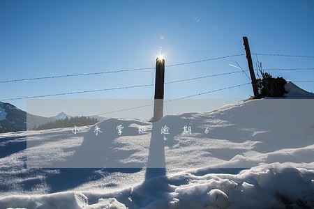 小米掌柜逾期6 小米掌柜逾期6