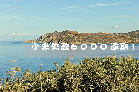 小米欠款6000逾期1年半 小米欠款6000逾期1年半