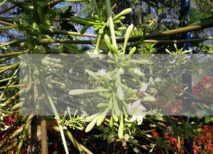 小米欠款逾期5900