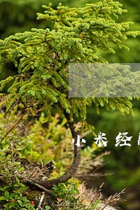 小米经融逾期客服电话 小米经融逾期客服电话