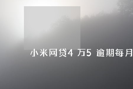 小米网贷4万5逾期每月还一点 小米网贷4万5逾期每月还一点