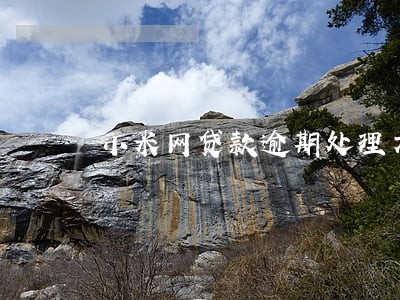 小米网贷款逾期处理方案 小米网贷款逾期处理方案