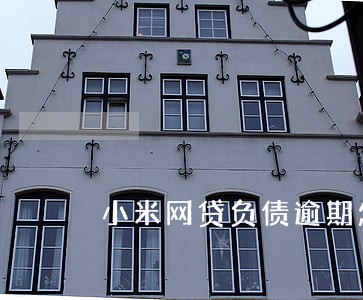 小米网贷负债逾期怎么办 小米网贷负债逾期怎么办